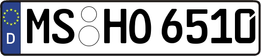 MS-HO6510