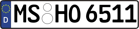MS-HO6511
