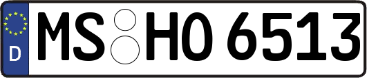 MS-HO6513