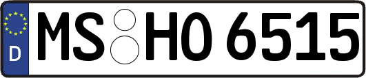 MS-HO6515