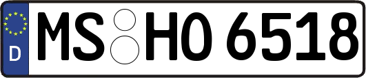 MS-HO6518