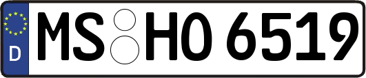 MS-HO6519