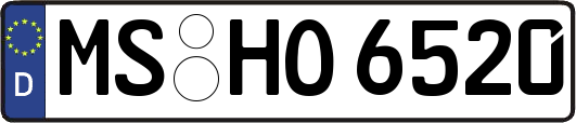 MS-HO6520