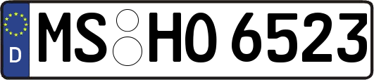 MS-HO6523