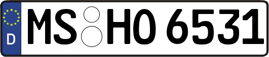 MS-HO6531
