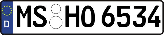 MS-HO6534