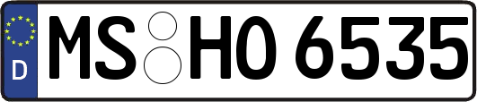 MS-HO6535