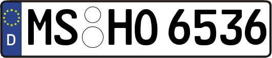 MS-HO6536