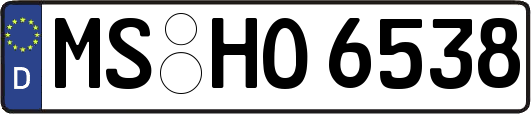 MS-HO6538