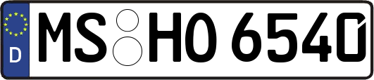 MS-HO6540
