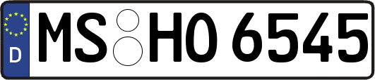 MS-HO6545