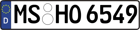MS-HO6549