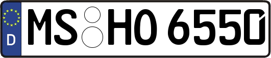MS-HO6550