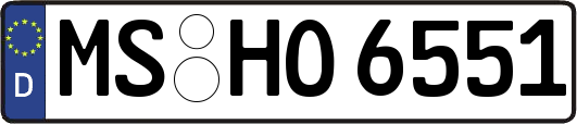 MS-HO6551