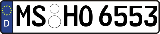 MS-HO6553
