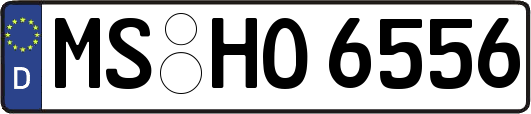 MS-HO6556