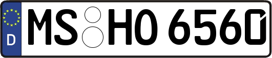 MS-HO6560