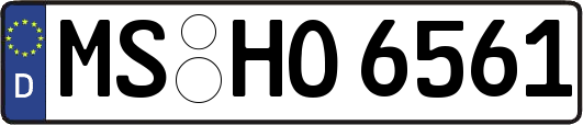 MS-HO6561
