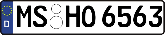 MS-HO6563