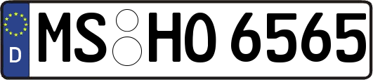 MS-HO6565