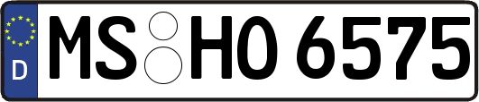 MS-HO6575