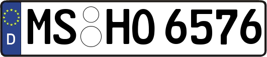 MS-HO6576