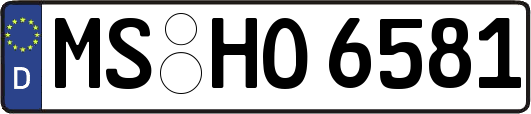 MS-HO6581