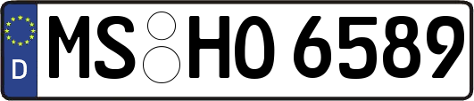 MS-HO6589