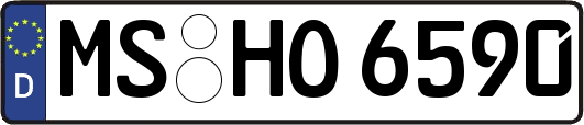 MS-HO6590