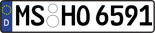 MS-HO6591
