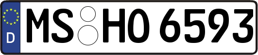 MS-HO6593