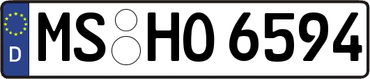 MS-HO6594