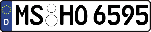 MS-HO6595