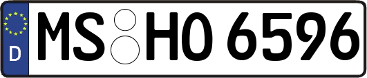 MS-HO6596