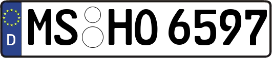 MS-HO6597