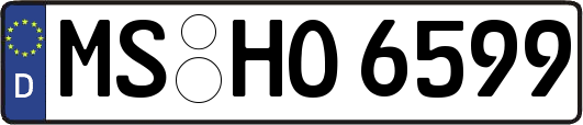 MS-HO6599
