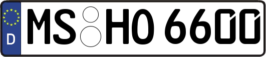 MS-HO6600