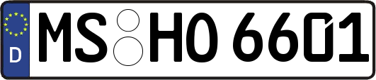MS-HO6601