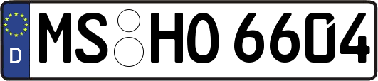 MS-HO6604