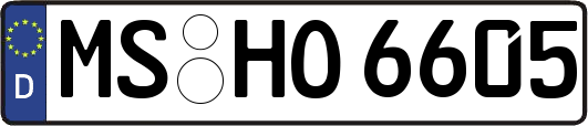 MS-HO6605