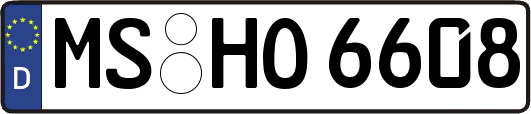 MS-HO6608