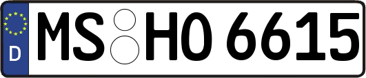 MS-HO6615