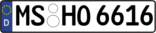 MS-HO6616