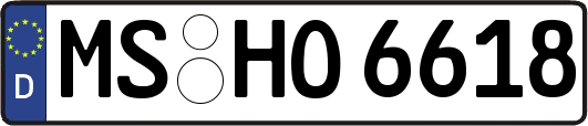 MS-HO6618