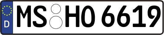 MS-HO6619