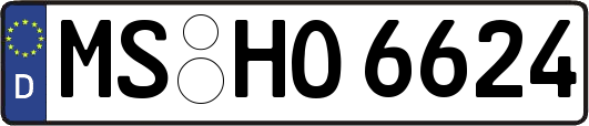 MS-HO6624