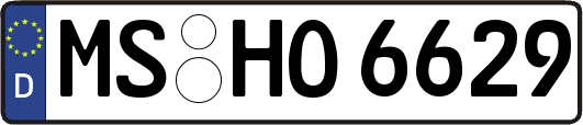 MS-HO6629