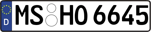 MS-HO6645