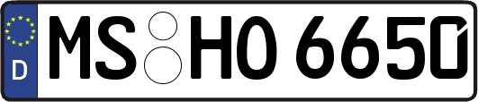 MS-HO6650