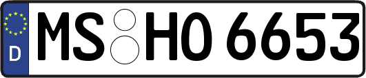MS-HO6653